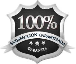 Tecnico informatico Garantizado