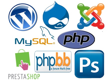 creacion de paginas web